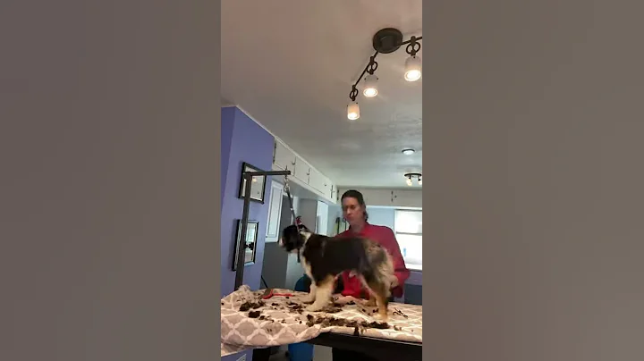 Maverick final cut