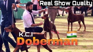 KARNAL DOG SHOW | SHOW QUALITY DOBERMAN | MUST WATCH :- FULL VIDEO