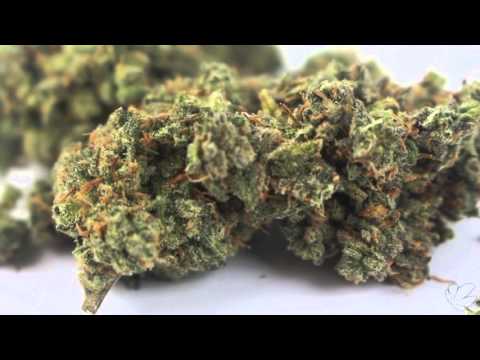 Peace and Pot II