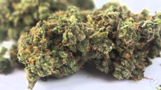 Peace and Pot II