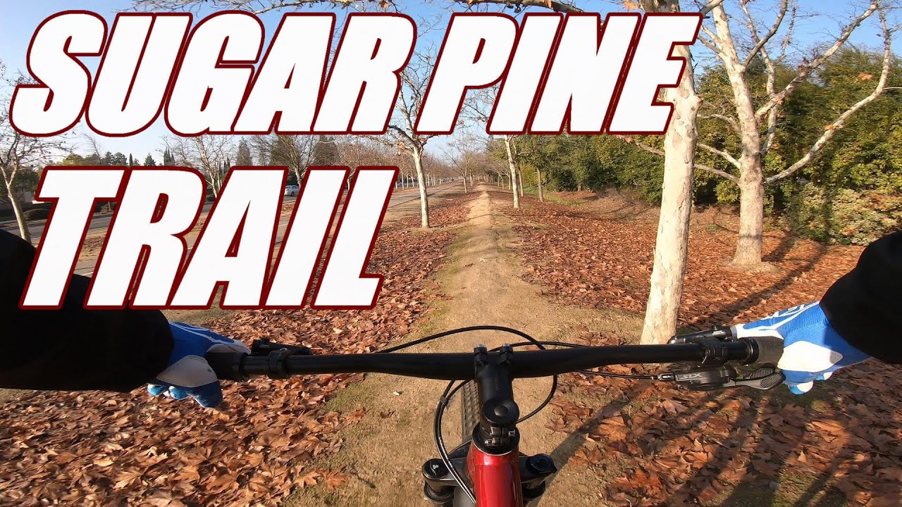 MTB // Fresno // Sugar Pine Trail