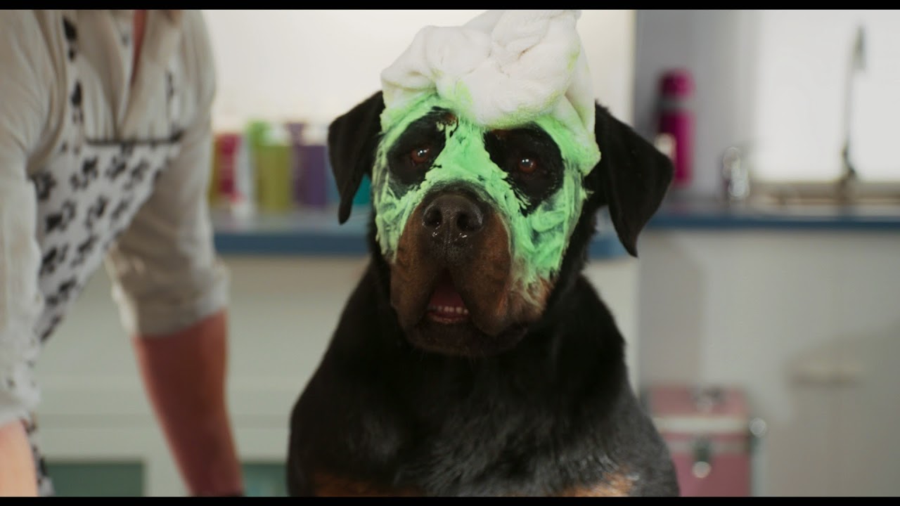 Show Dogs Trailer YouTube