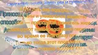 9 ПРИРОДНЫХ СЖИГАТЕЛЕЙ ЖИРА 9 ПРИРОДНЫХ СЖИГАТЕЛЕЙ ЖИРА