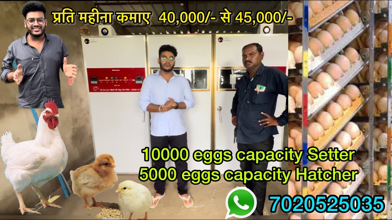 10000 eggs capacity setter and 5000 eggs capacity hatcher by sm egg