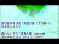 サザンオールスターズ ネオ ブラボー Cover サザンオールスターズ ネオ ブラボー Cover