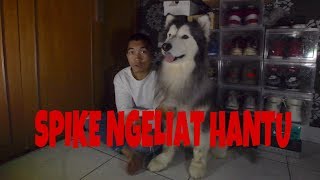 PARANORMAL EXPERIENCE  SPIKE JAGAIN GUA DARI HANTU !!!