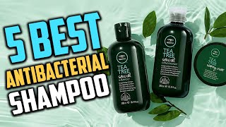 Top 5 Best Antibacterial Shampoo to Buy in Amazon