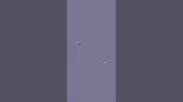 PROGRAM PERULANGAN FOR DO PADA PASCAL N-IDE