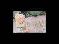 Baby Shower Gender Reveal Chocolate Covered Treats Cake Pops