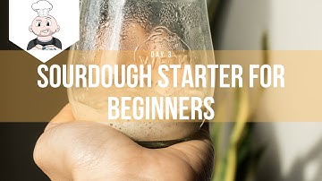 Sourdough Starter For Beginners Day 3