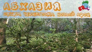 Абхазия путешествие с детьми 5 часть | Сухум, Черниговка, Новый Афон