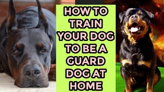 how to train a guard dog at home