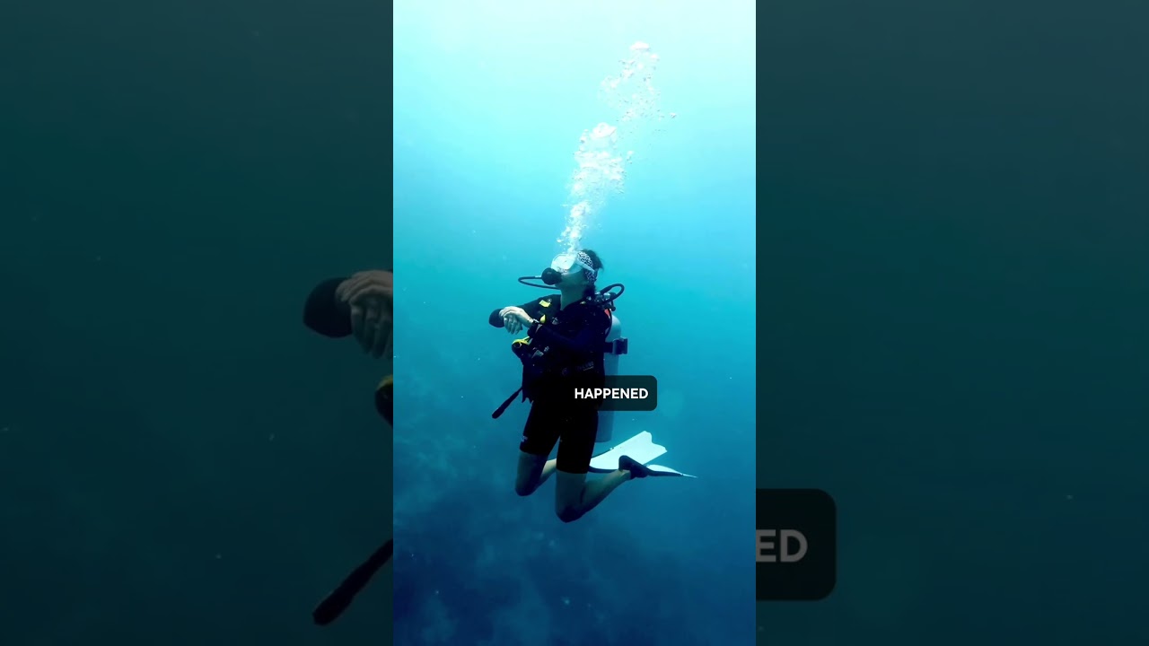 Maldives Diving Incident Remains a Mystery So Far
