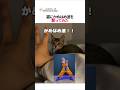 猫にかめはめ波を撃ってみた