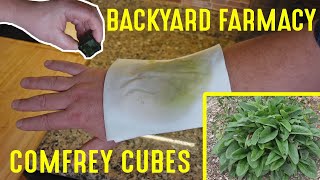 Making Fast Healing "Comfrey Cubes" | Backyard Farmacy Plants That Work Wonders!