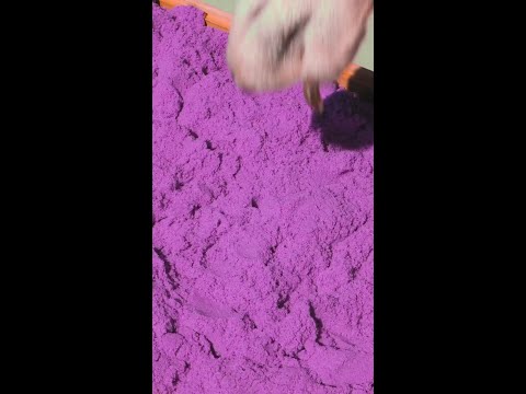 Keep Your Pet Safe with This Brilliant Jewelry Idea and a Comfy Pallet Home!