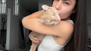 Правда которую не хотят слышать 