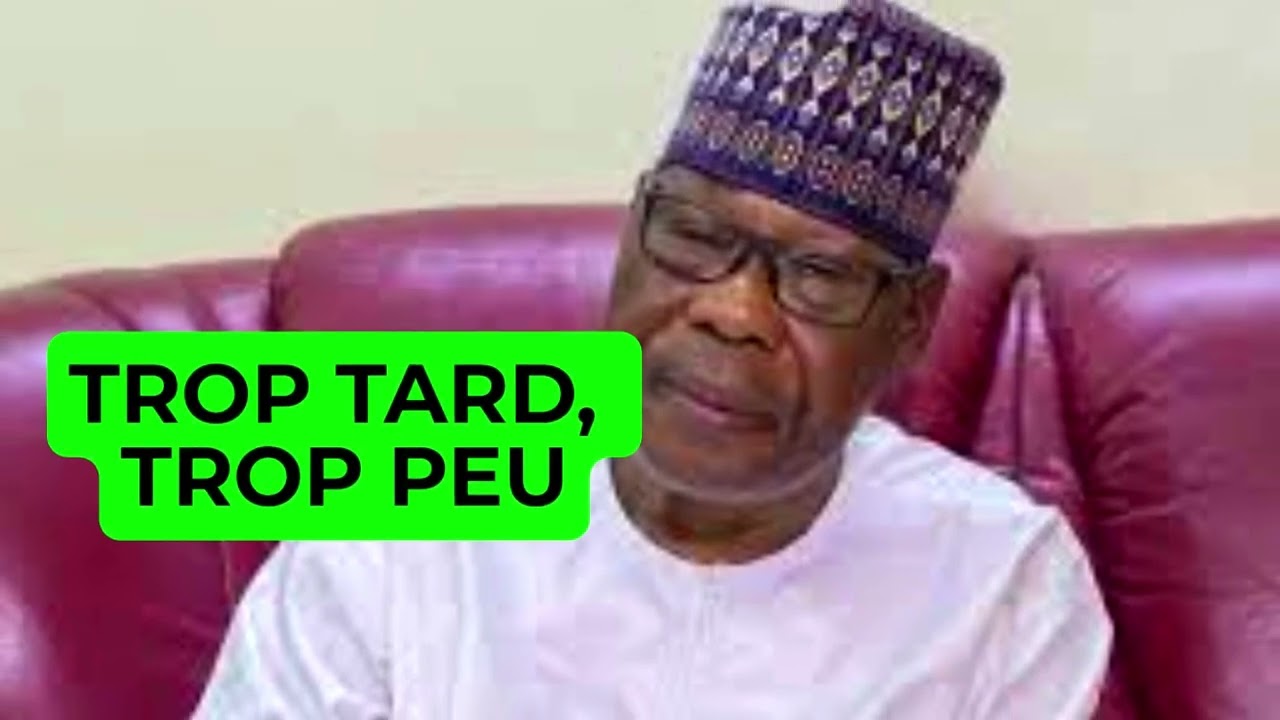 Démission de Yayi Boni au Bénin du parti les Démocrates : trop tard trop peu