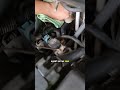 Rahasia bersihin noda oli, sisa pelumas rantai dan kerak mesin lainnya
