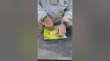 Honey Bee insurance, Hive alive fondant pattie