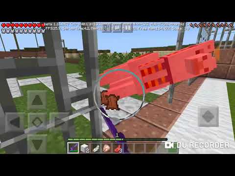 ახლი სახლი ვიყიდე დაკარგული სერია2