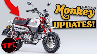 BREAKING: 2023 Honda Monkey Takes Style To A Totally Different Level... Here's What's New!