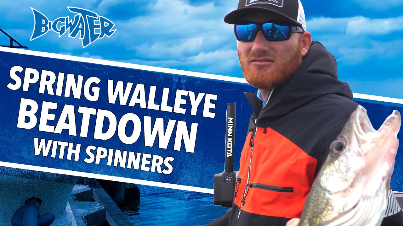 Walleye Fishing on Lake Erie with Spinner Rigs - Tips For Using Crawler Harnesses For Walleye
