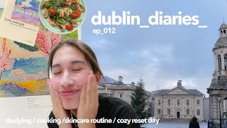 dublin diaries | 