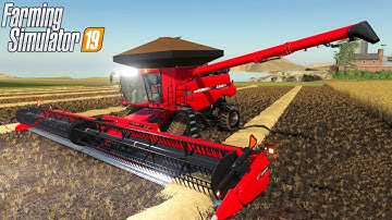Case IH 120 230 240 Axial Flow Series Mod | Farming Simulator 19