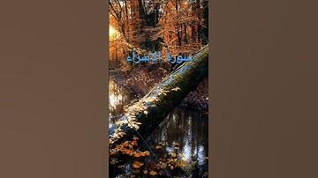 سوره الاسراء بصوت جميل للشيخ يوسف العيدروس
