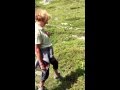Gelber Enzian im Ultental