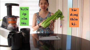 Tác dụng thần kỳ của nước ép rau cần tây.| Celery juice.