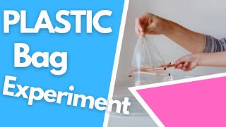 Plastic Bag and pencils!!Fun activity and science experiment for kids