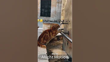 والسابقون السابقون 