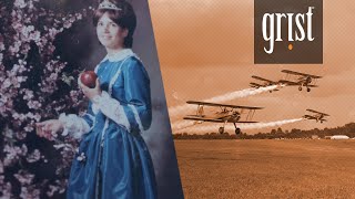 Did DDT play a role in my family’s cancers?