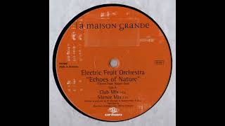 Echoes Of Nature (Club Mix) - Electric Fruit Orchestra Resimi