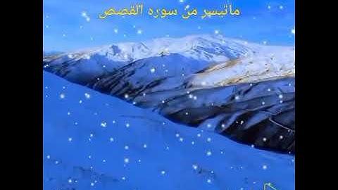 ماتيسر من سورة القصص