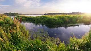 Critical Environmental Areas