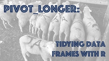 How to make data tidy using pivot_longer: we gather a wide formatted table of lamb prices (CC011)