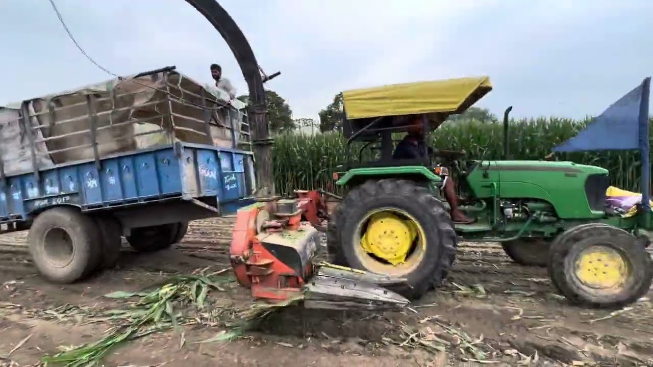 Makki da achar kive penda bhut sokha treeka and ssta vi aw