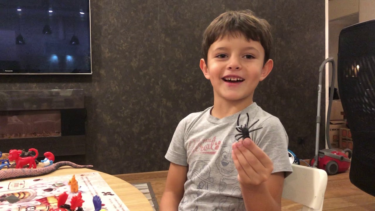 Интересное и познавательное YouTube