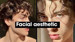 how to get model tier facial features
