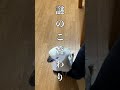 足リフトを求めるオウムに想像以上の高さを提供してみた#shorts