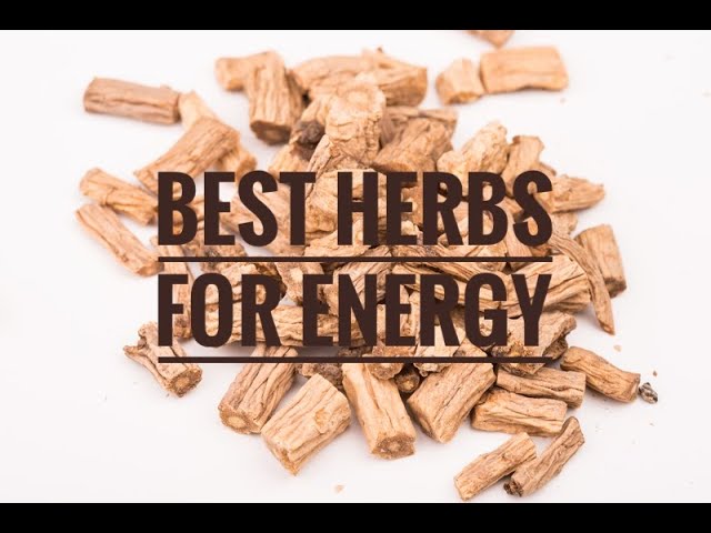 Best Herbs for Great Energy - Top 11 Herbs Best Herbs for Great Energy - Top 11 Herbs