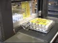 ARPAC'S 25TW Shrink Wrapper packaging machine - eggs