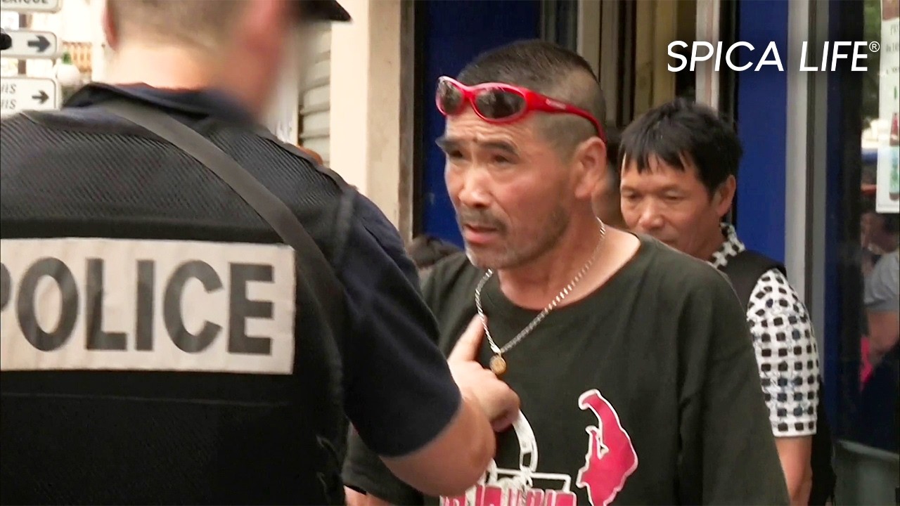 Quartiers chauds parisiens : immersion à Belleville