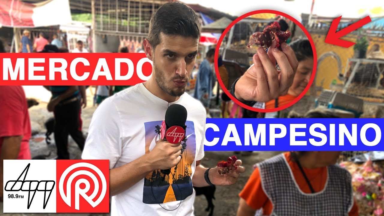 Radar - Todo ésto nos encontramos en el Mercado Campesino