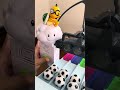 Wonderful marble run race ☆ 5-color racing course | Fun for adults③