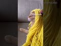 #chat #cat #catlover #catcute #chatmignon #lolcat #shakira lol