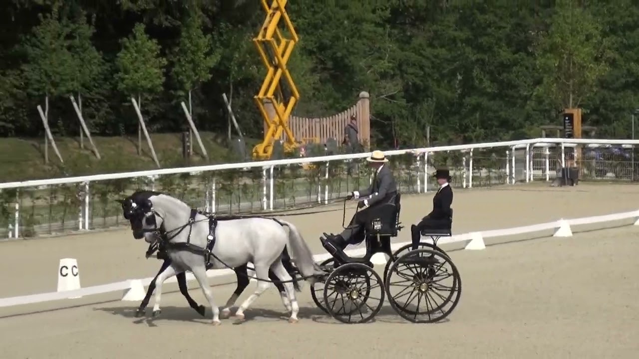 Martin HÖLLE (HUN) FEI CH-M-AH2, Le Pin au Haras (France), dressage, 29.09.2023